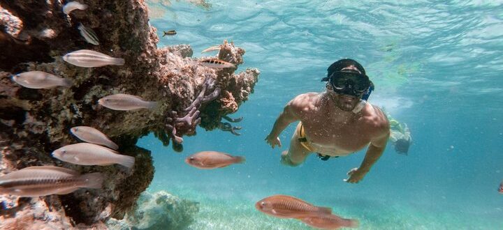 Discover the Depths: Snorkeling Wonders in Punta Cana Await You